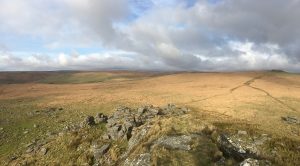 view of Dartmoor, close-cropped yellowed grass