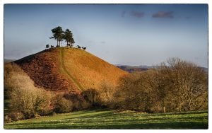 Colmer's Hill, Symondsbury, Dorset