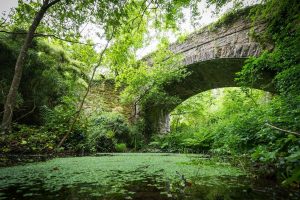 The beautiful Brunel Bridge in COrnwall