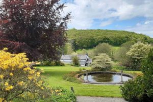 Cae Hir Gardens - the circuar pond and wedding cake tree