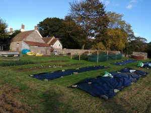 new tree nursery